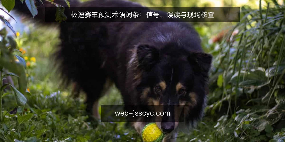 极速赛车预测术语词条:信号、误读与现场核查 — 信号识别:极速赛车预测中的关键术语 配图